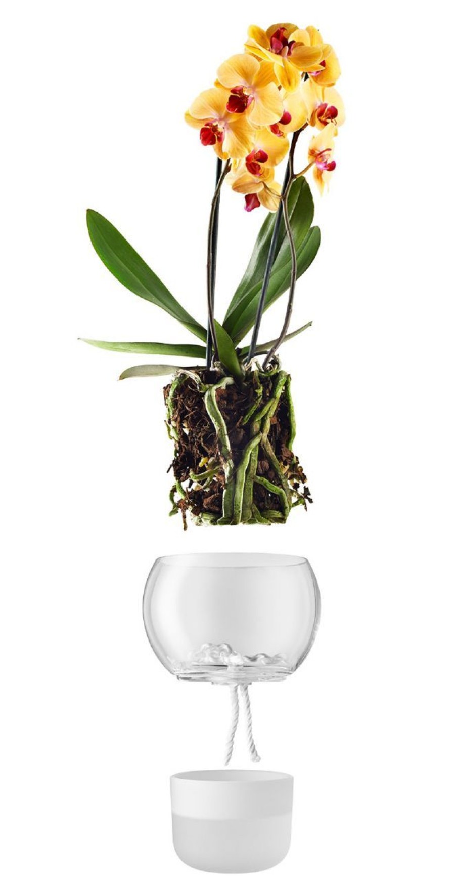 Wohnen Eva Solo Blumenubertopfe & Accessoires | Eva Solo Orchideenubertopf Mit Fus & Bewasserung Hohe 15 Cm Weis