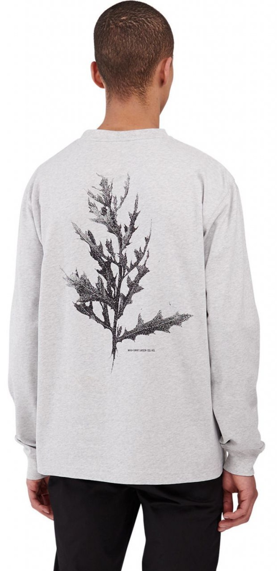 Fashion Makia Clothing Pullover& Sweatshirts & Strickjacken | Makia Clothing X Danny Larsen Herren Sweatshirt Hellgrau / Schwarz Flora