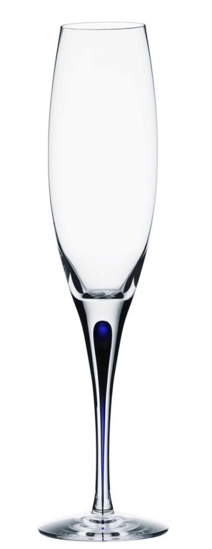 Kuche & Haushalt Orrefors Champagner | Orrefors Intermezzo Blau Champagnerglas 20 Cl