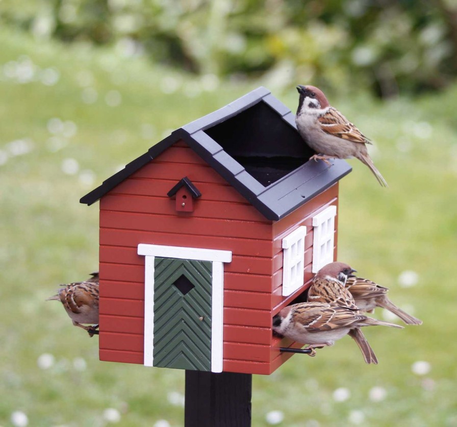 Wohnen Wildlife Garden Tierwelt | Wildlife Garden Futterhauschen & Vogelbad